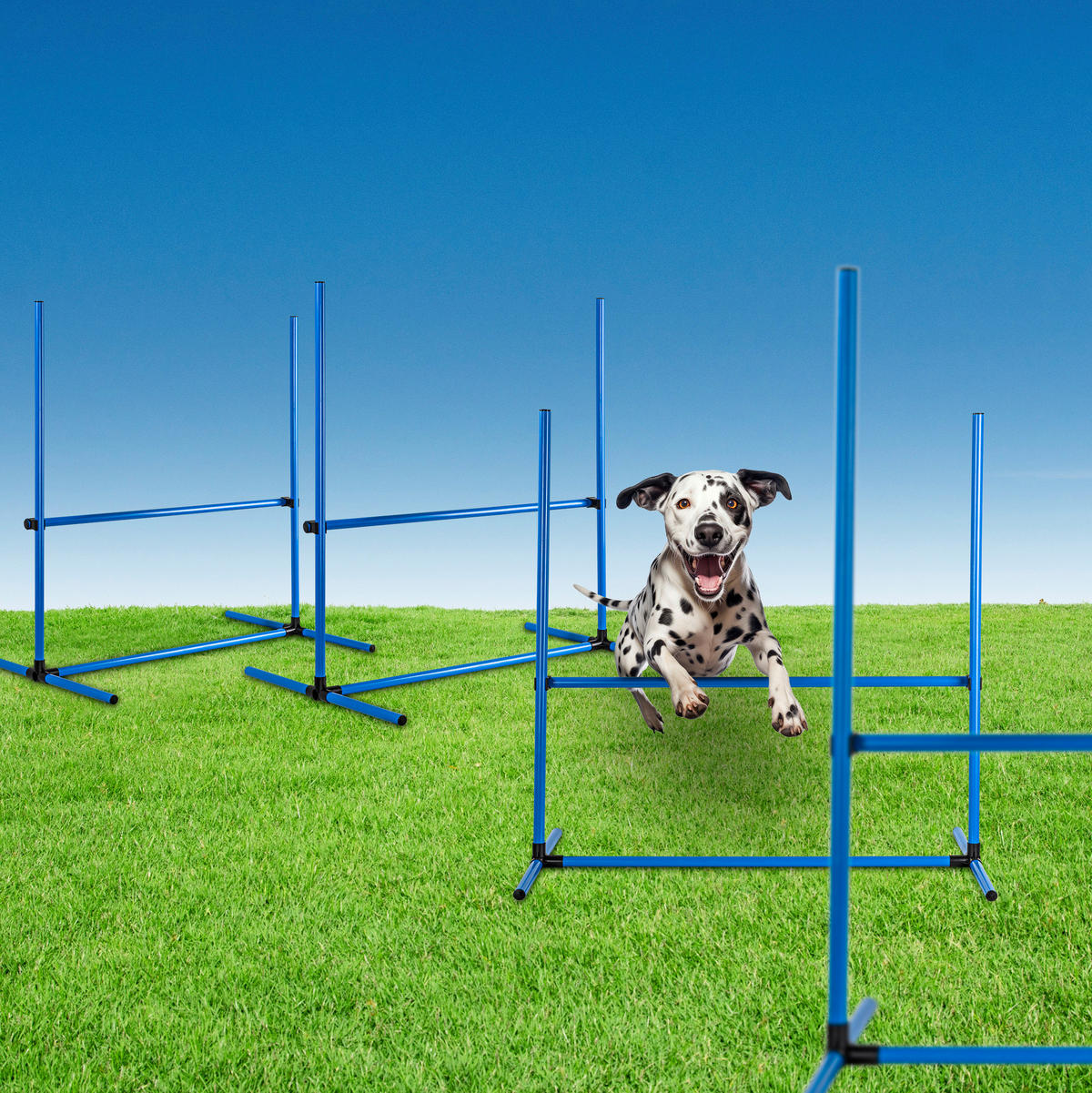 HI Agility Hürdenset blau Kunststoff B/H/L: ca. 65x95x95 cm Agility_Hürdenset_4erSet - blau (95,00/65,00/95,00cm) - HI