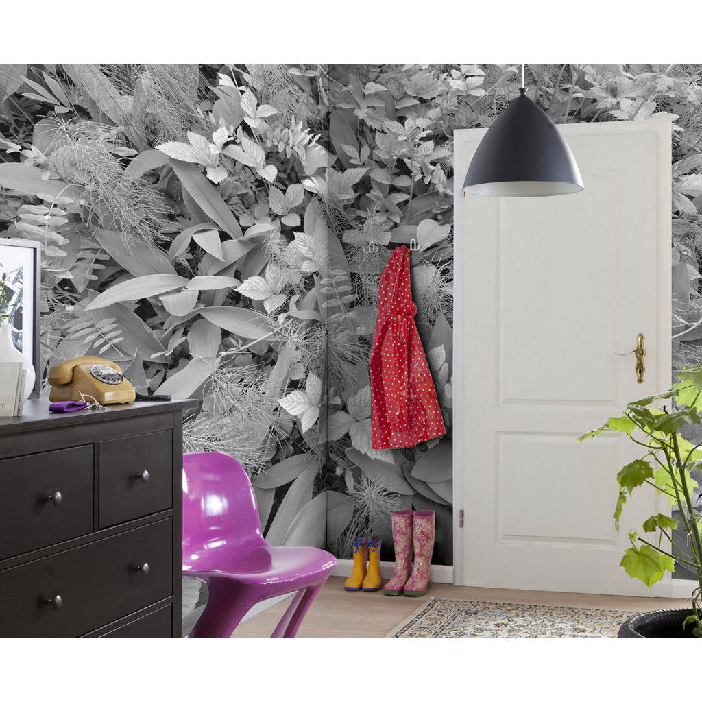 Thumbnail - Komar Fototapete Forest Floor B/L: ca. 368x254 cm