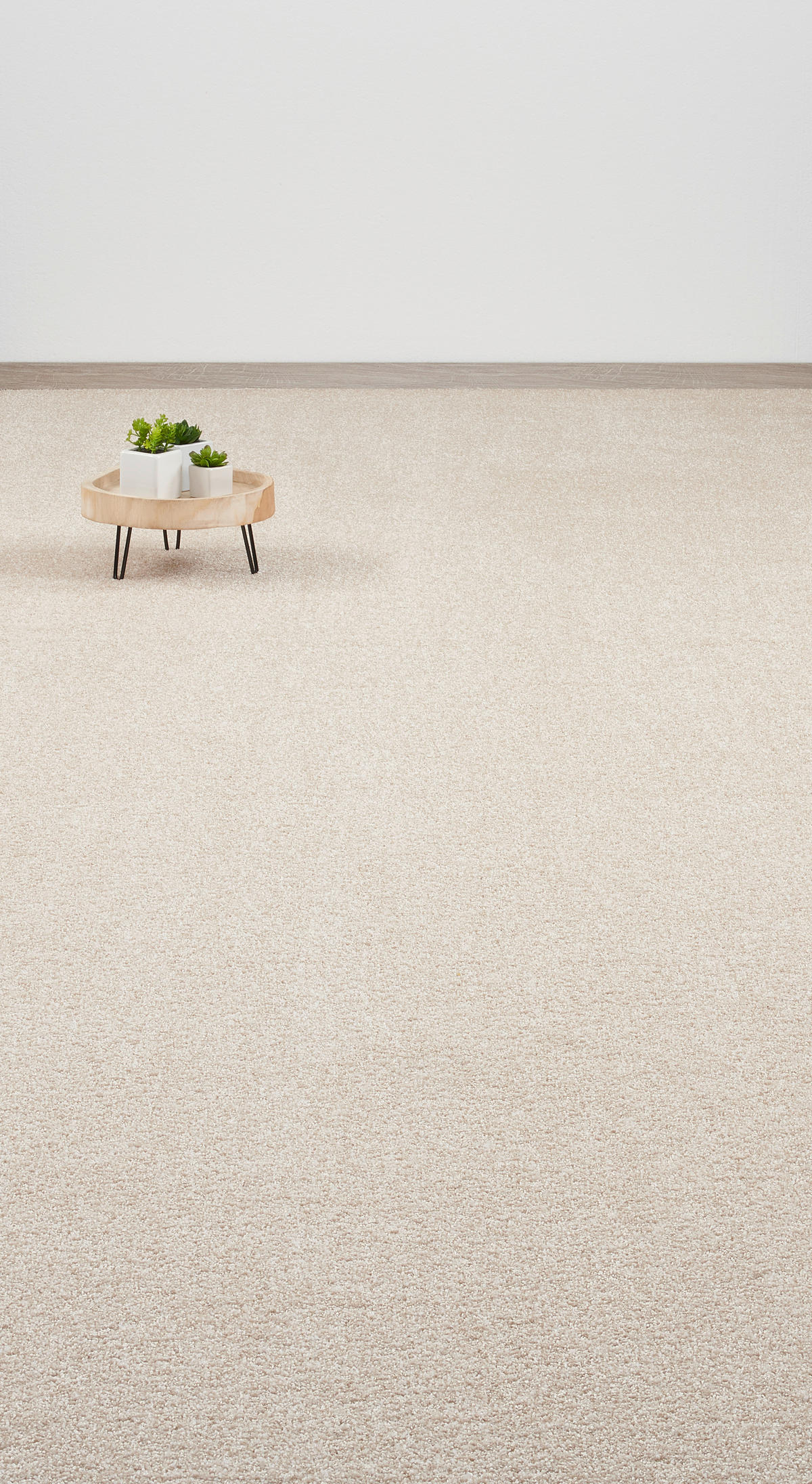 Teppichboden Garda beige B: ca. 500 cm pro m² Garda - beige (500,00cm)