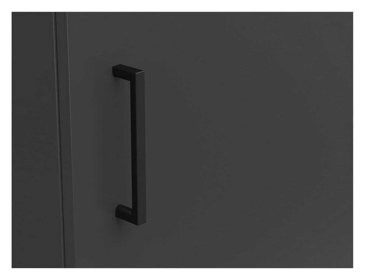 Schrank Multi-Stauraum Typ 20 anthrazit B/H/T: ca. 45x195x40 cm Multi-Stauraum Typ 20 - anthrazit (45,00/195,00/40,00cm)
