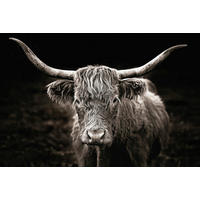 Keilrahmenbild Tiere B/H: ca. 90x60 cm Keilrahmenbild 60x90cm - grau (90,00/60,00cm)