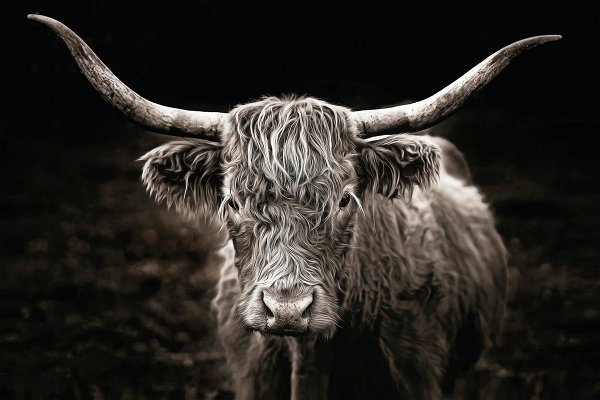 Keilrahmenbild Tiere B/H: ca. 90x60 cm Keilrahmenbild 60x90cm - grau (90,00/60,00cm)