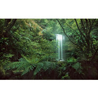Komar Fototapete Secret Veil B/L: ca. 450x280 cm Secret Veil - (450,00/280,00cm) - Komar