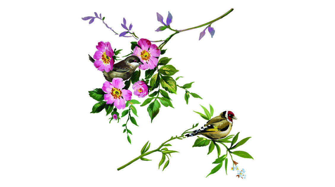 Komar Fenstersticker Spring Fever Vögel Spring Fever B/L: ca. 31x31 cm ▷  online bei POCO kaufen