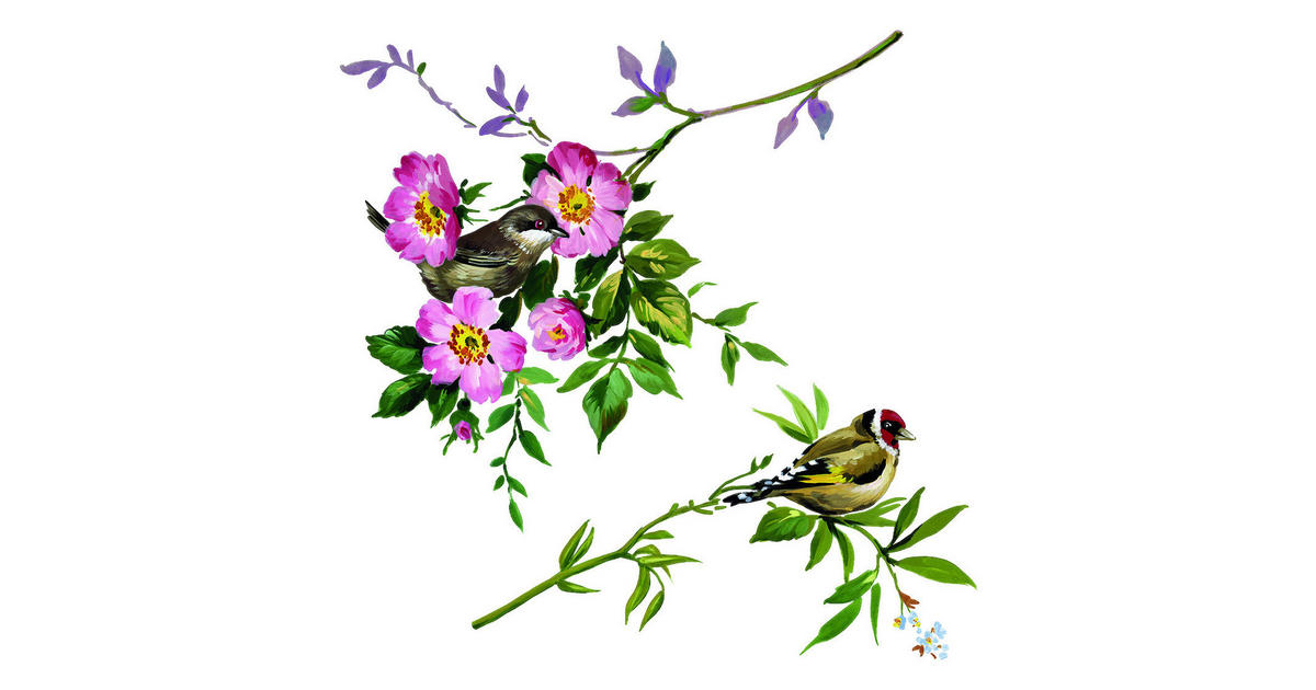 Komar Fenstersticker Spring Fever Vögel Spring Fever B/L: ca. 31x31 cm ▷  online bei POCO kaufen