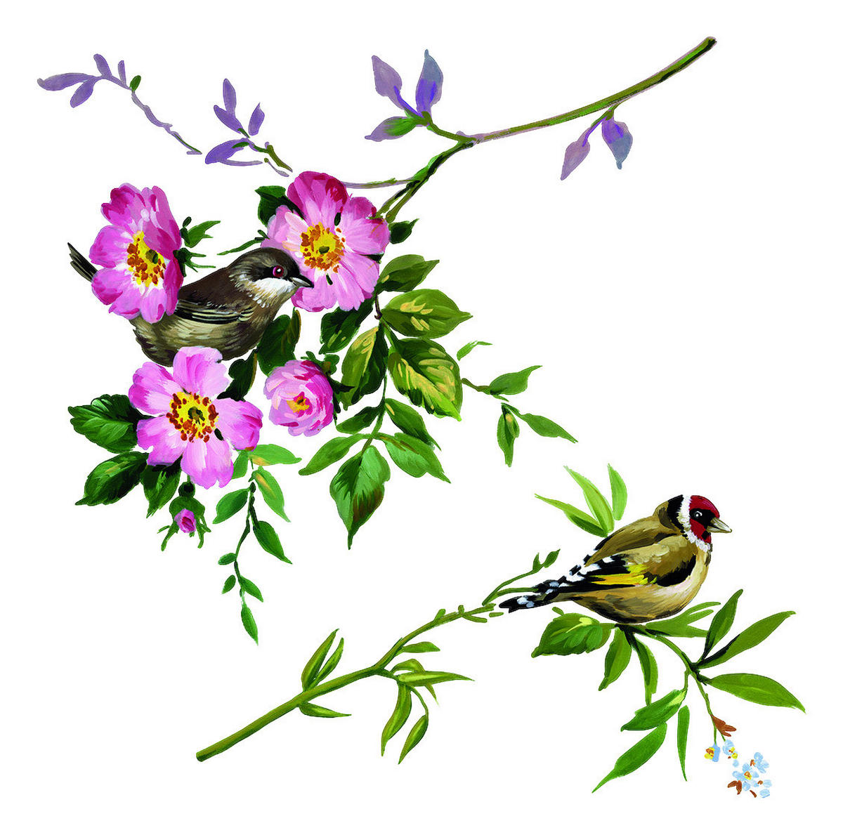 Komar Fenstersticker Spring Fever Vögel Spring Fever B/L: ca. 31x31 cm Spring Fever - (31,00/31,00cm) - Komar