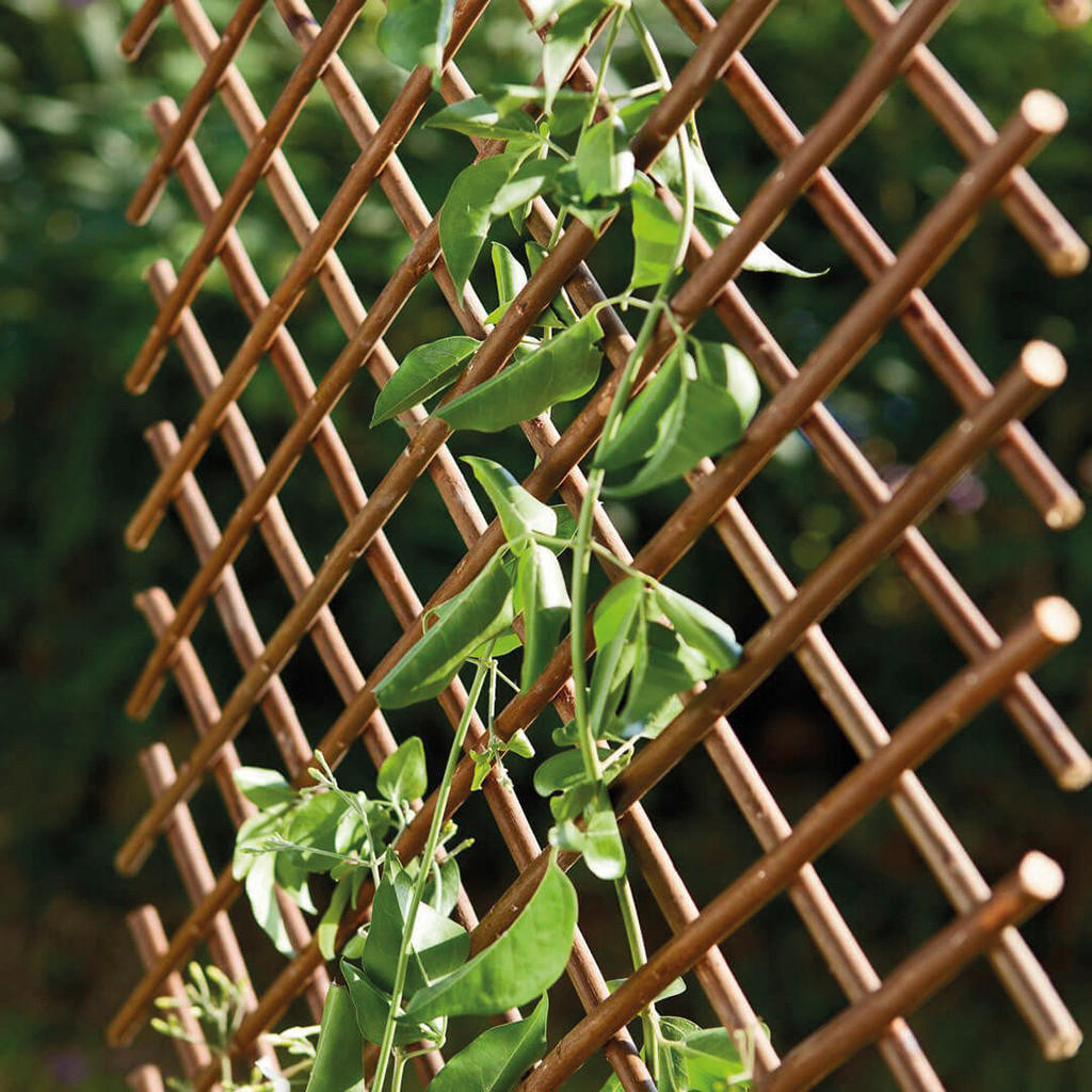 CATRAL/NORTENE Rankgitter natur B/H/L: ca. 151x2x70 cm Rankgitter - braun/natur (70,00/151,00/2,00cm) - CATRAL/NORTENE
