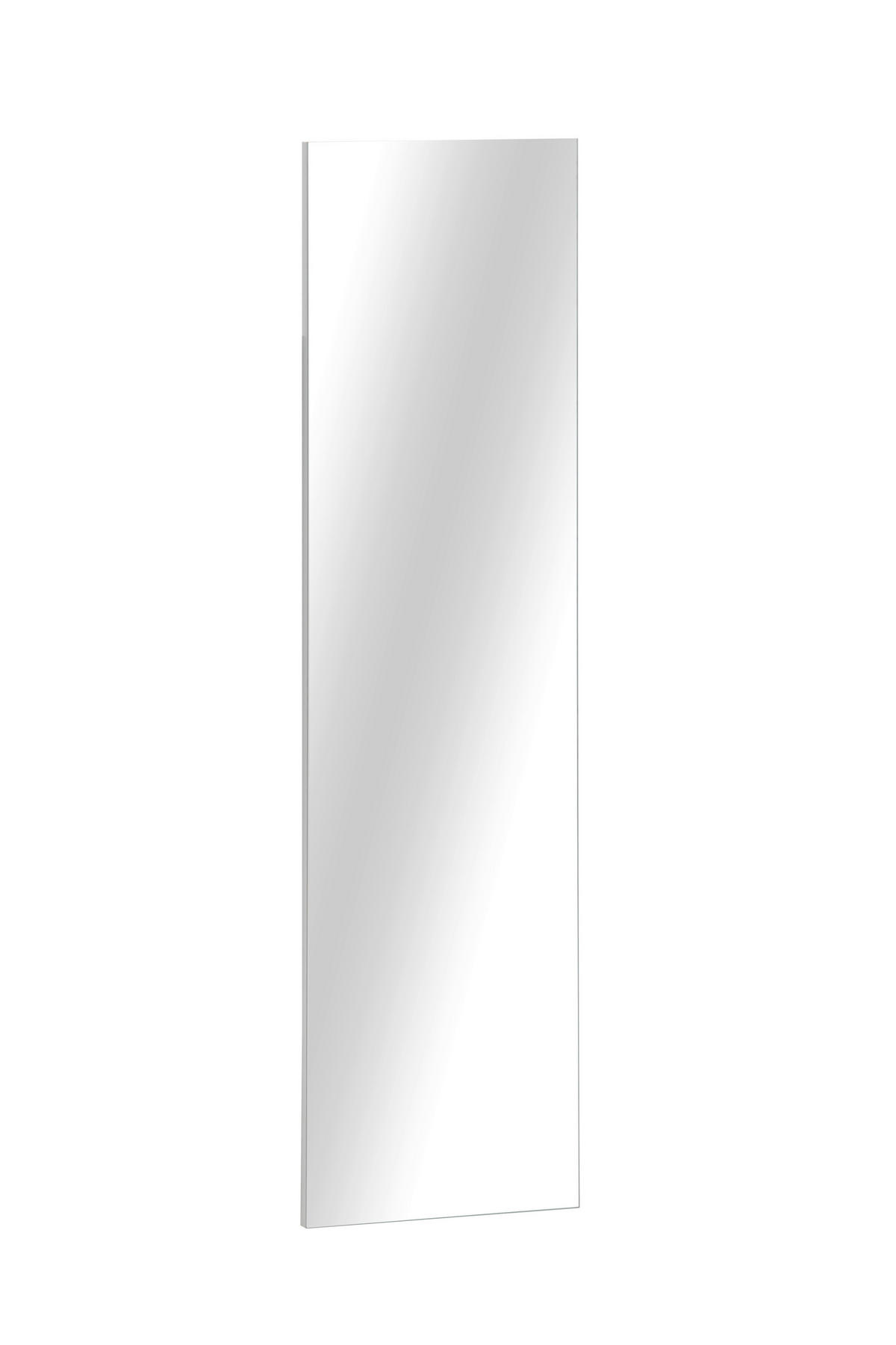 Spiegelpaneel Piazza silber B/H/T: ca. 29,9x110,5x3 cm Piazza - silber (29,90/110,50/3,00cm) - Schildmeyer