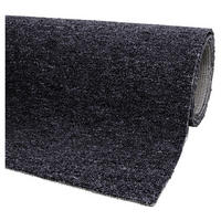Teppichboden pro m² Mirabell anthrazit B/L: ca. 400x500 cm Mirabell - anthrazit (400,00/500,00cm)