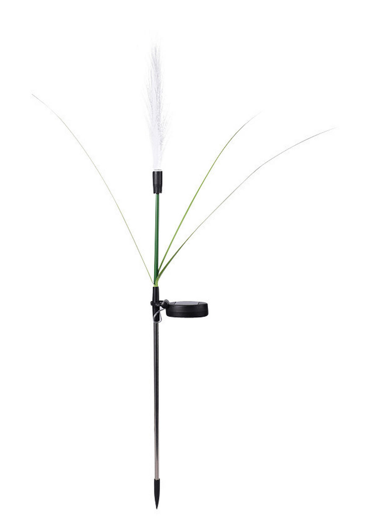 Solarleuchte grün weiß Kunststoff H: ca. 85 cm Solarstecker_Pampasgras - weiß/grün (85,00cm) - POCOline