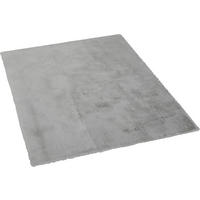 Teppich Buggy silber B/L: ca. 160x220 cm Buggy - silber (160,00/220,00cm)