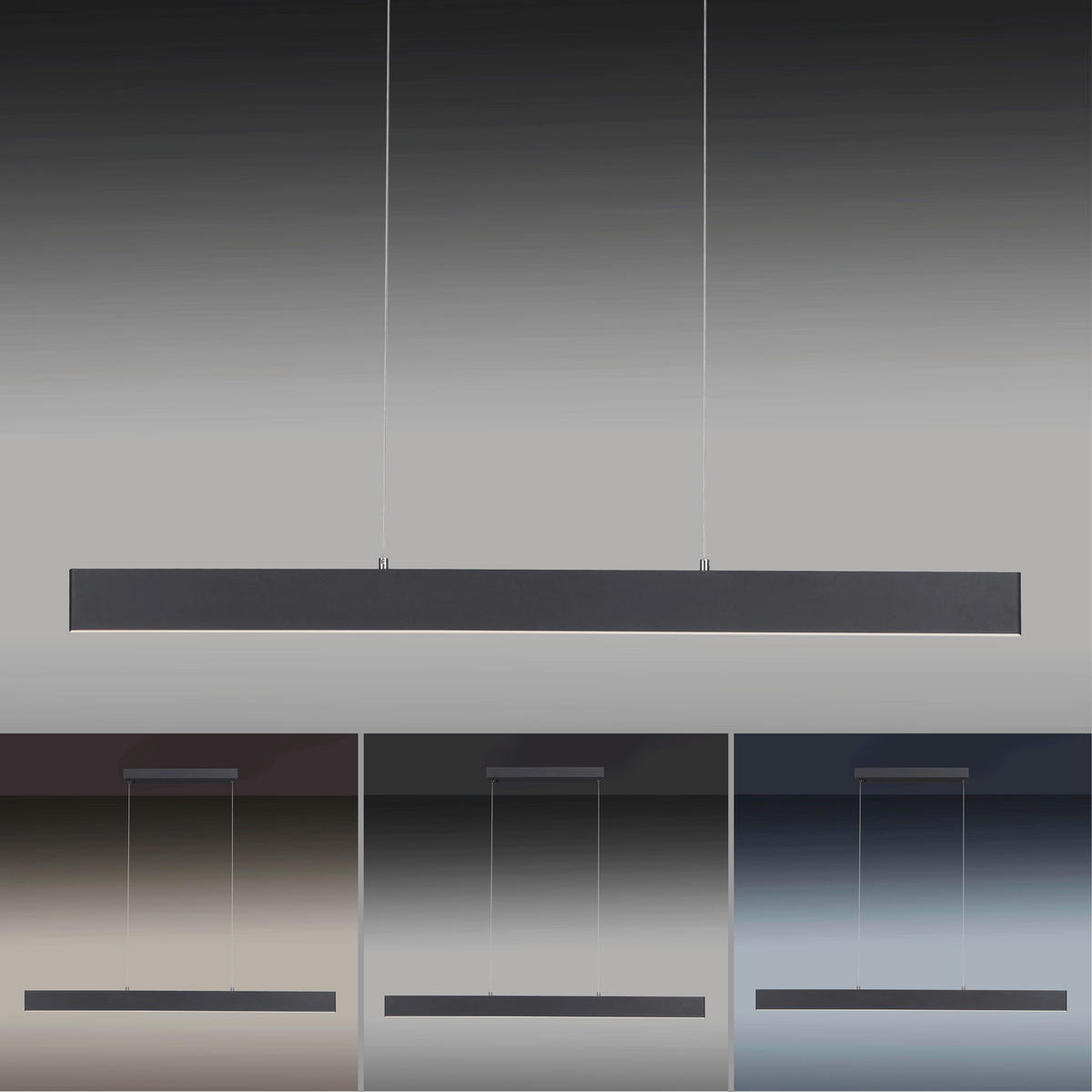 Paul Neuhaus LED-Pendelleuchte NILA 2548-13 anthrazit weiß Kunststoff Metall B/H/T: ca. 121x120x6 cm 2.0 Brennstellen NILA - weiß/anthrazit (121,00/120,00/6,00cm) - Paul Neuhaus