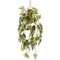 Kunstpflanze Syngonium Podophyll. Albo Variegata weiß Kunststoff B/H/L: ca. 19x59x19 cm Syngonium Podophyll. Albo Variegata - weiß/grün (19,00/19,00/59,00cm)