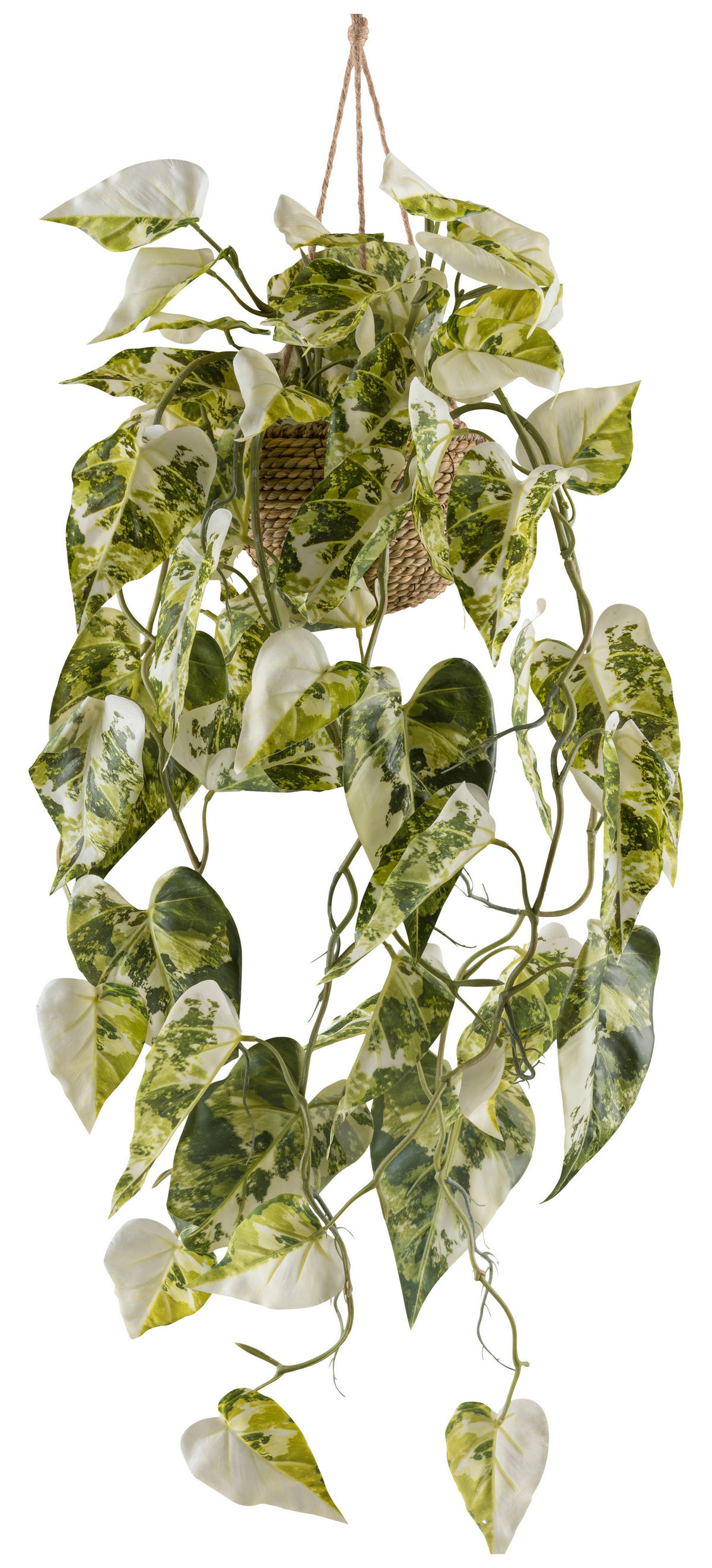 Kunstpflanze Syngonium Podophyll. Albo Variegata weiß Kunststoff B/H/L: ca. 19x59x19 cm Syngonium Podophyll. Albo Variegata - weiß/grün (19,00/19,00/59,00cm)