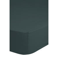 Baumwoll Spannbetttuch Spannbetttuch-Baumwolle 180x200cm - dunkelgrün (180,00/200,00cm) - Good Morning