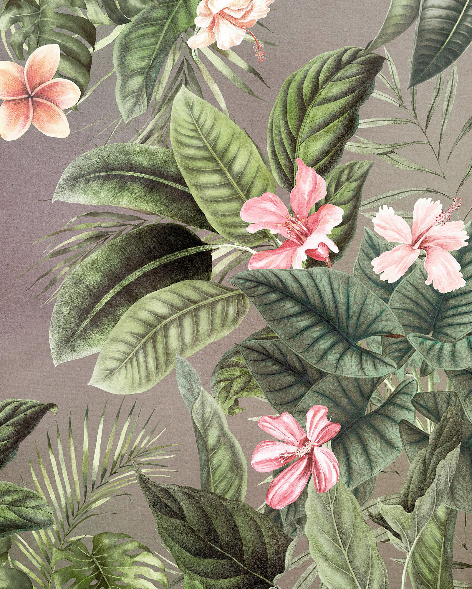 Komar Fototapete Large Bloomed B/L: ca. 200x250 cm Large Bloomed - (200,00/250,00cm) - Komar