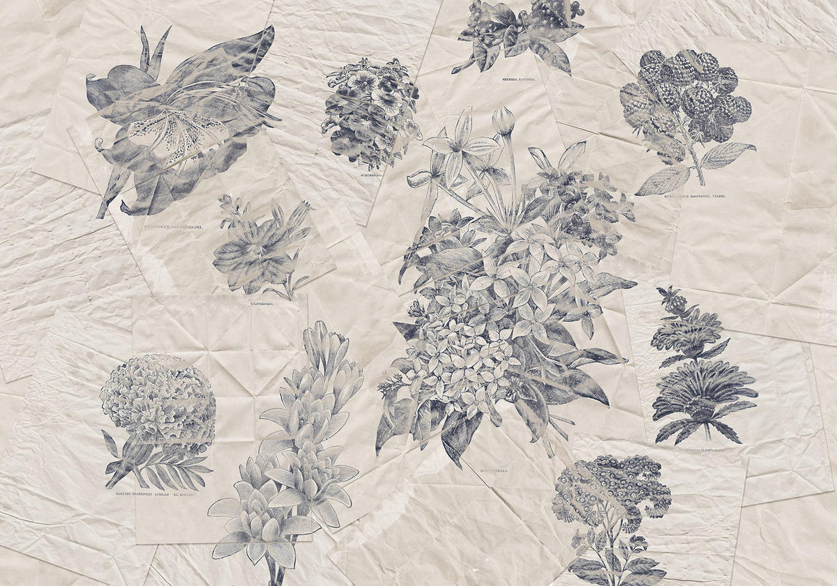 Komar Fototapete Botanical Papers B/L: ca. 400x280 cm Botanical Papers - (400,00/280,00cm) - Komar