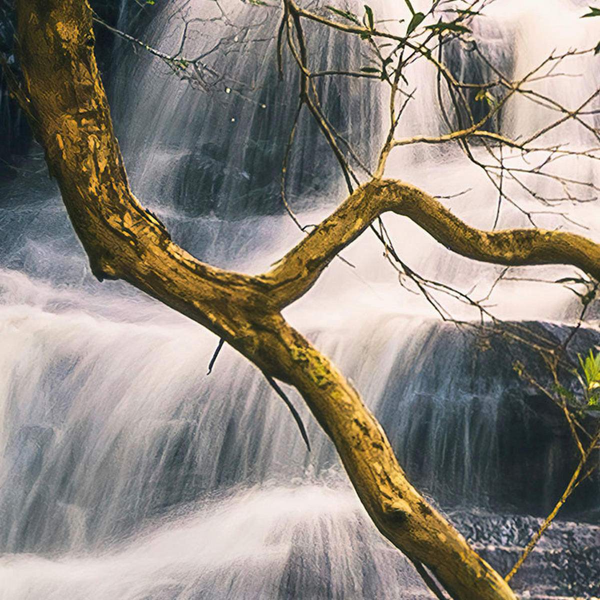 Komar Fototapete Golden Falls B/L: ca. 450x280 cm Golden Falls - (450,00/280,00cm) - Komar