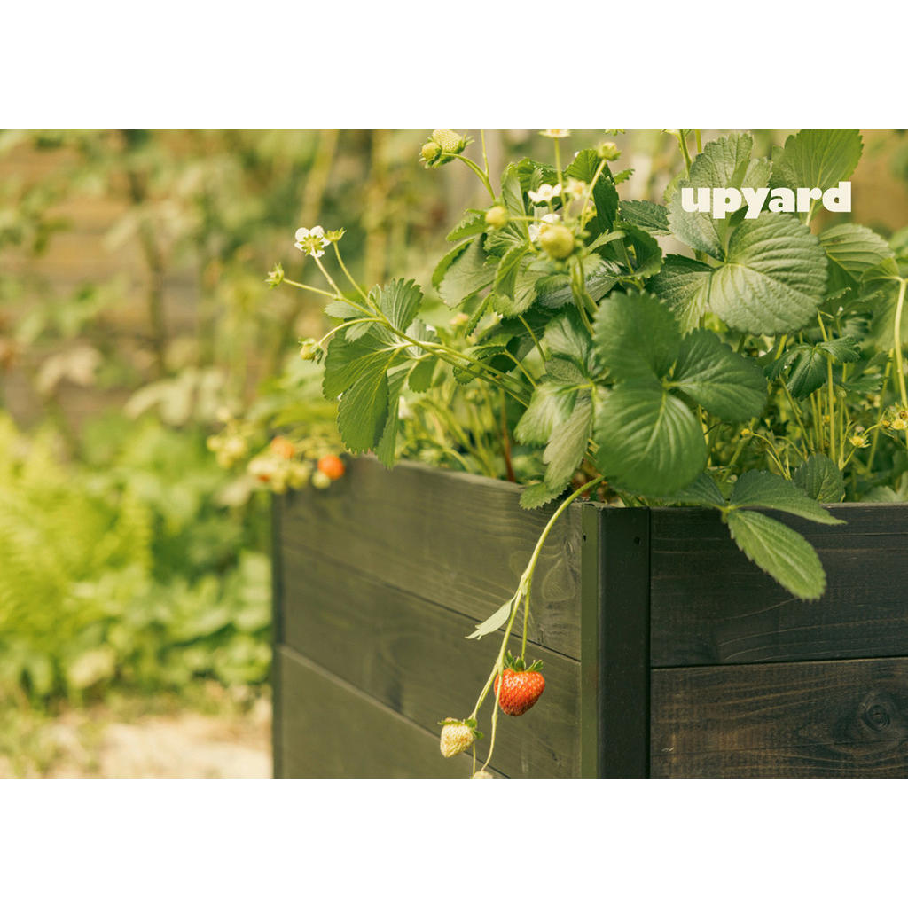 Thumbnail - UPYARD Hochbeet MODERN schwarz Holz B/H/L: ca. 60x40x80 cm