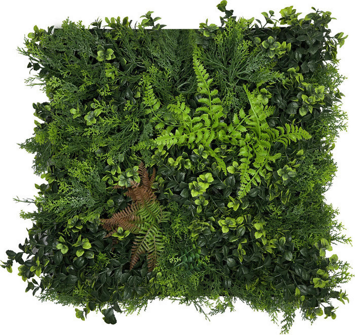 Wand-und Akustikpaneel grün L/B/H: ca. 52x52x0,4 cm pro Stück Wandpaneel 52x52 Green Mixed Flora - grün (52,00/52,00/0,40cm)