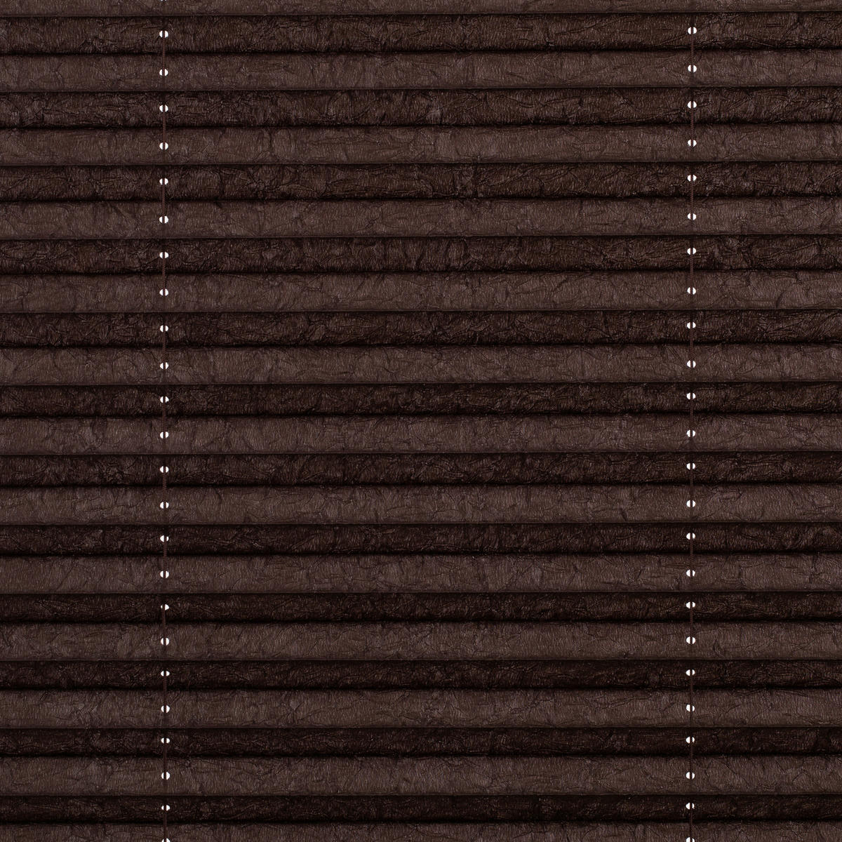 LICHTBLICK Spannplissee braun B/L: ca. 95x130 cm Plissee_Klemmfix - braun (95,00/130,00cm) - LICHTBLICK