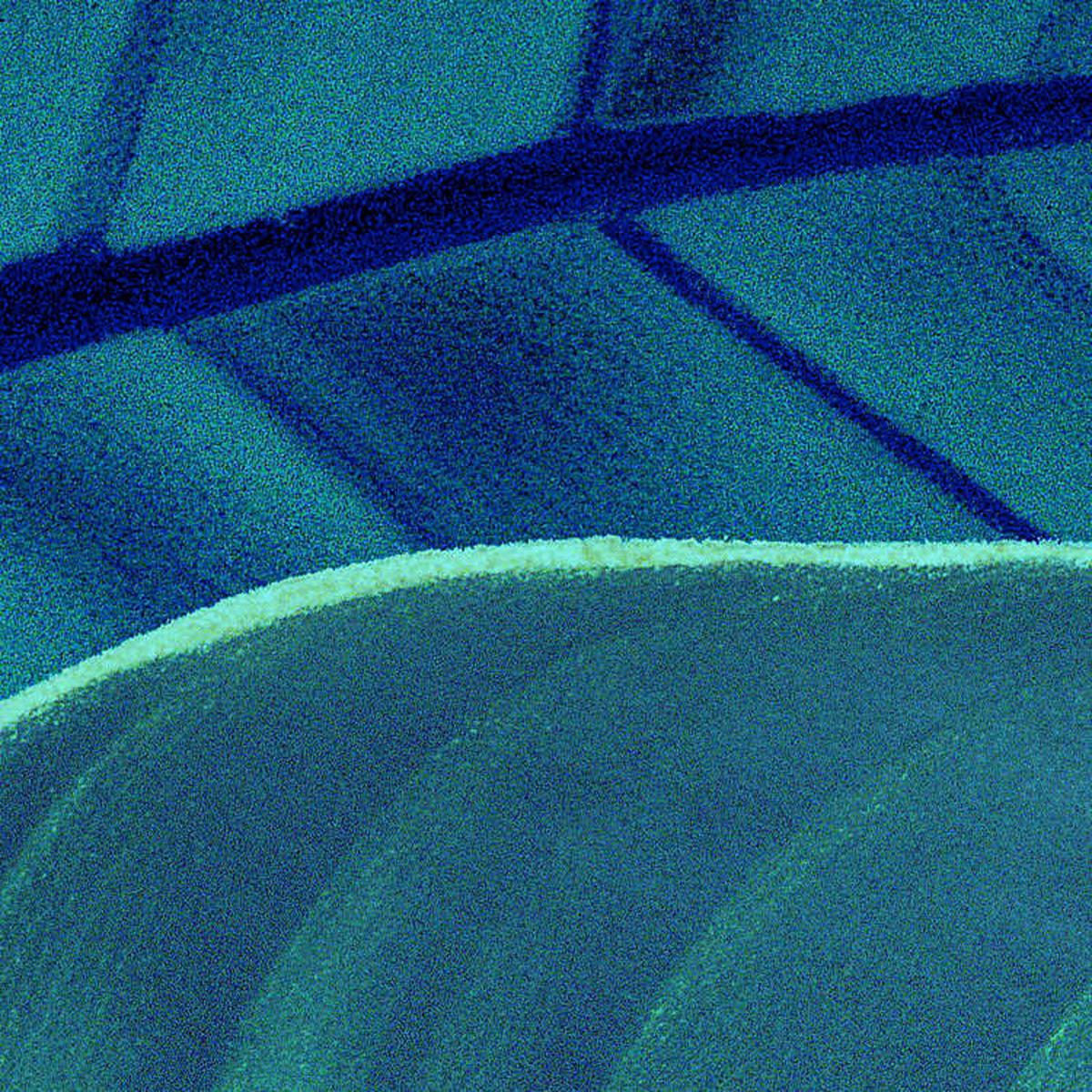 Komar Fototapete Foliage B/L: ca. 200x250 cm Foliage - (200,00/250,00cm) - Komar