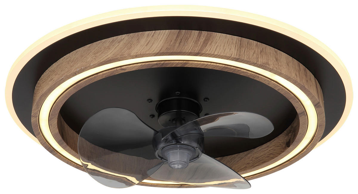 GLOBO Deckenventilator Opal schwarz dunkelbraun H/D: ca. 13,5x50 cm max. 32 W BOZAN - dunkelbraun/schwarz (50,00/13,50cm) - GLOBO
