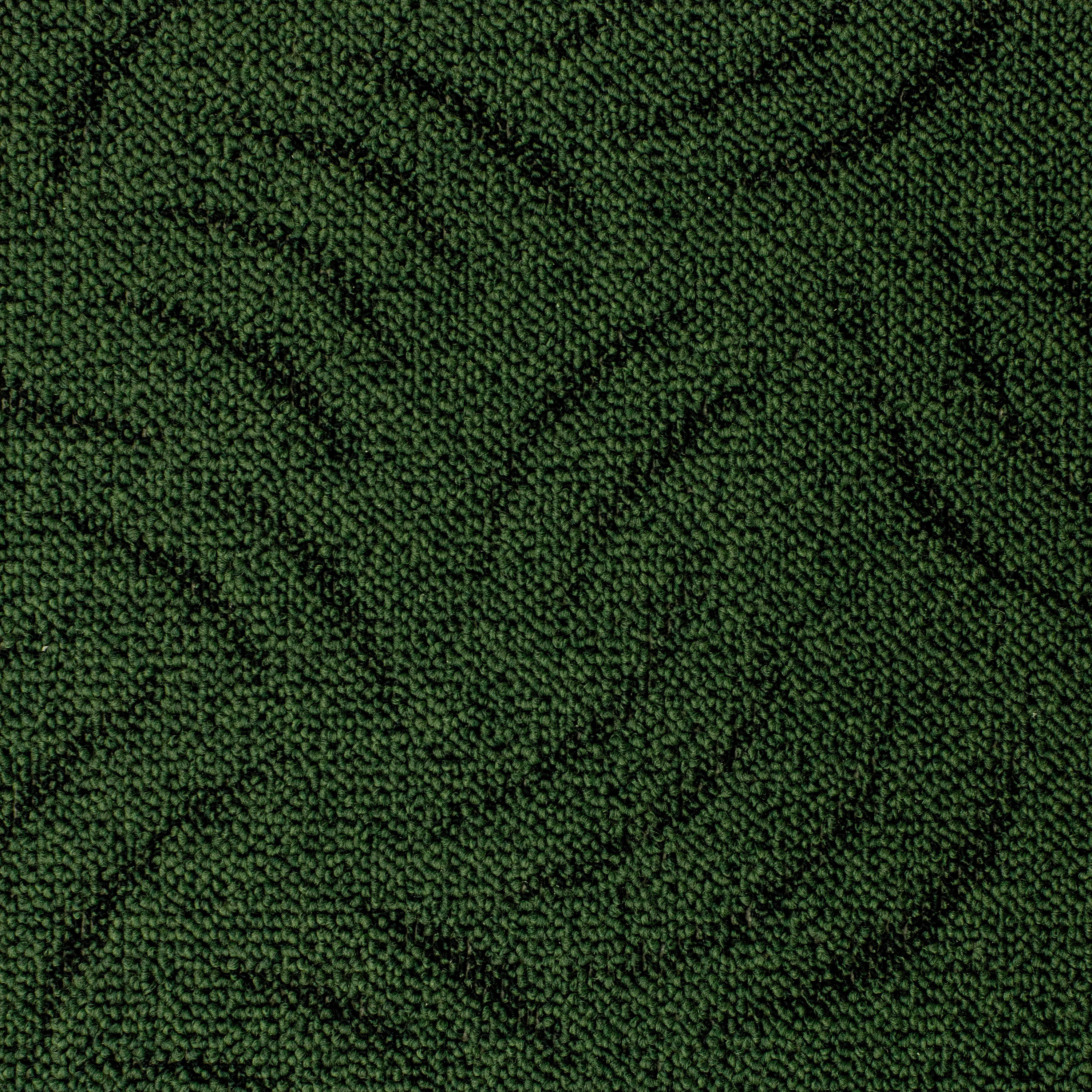 Teppichboden Presto grün B: ca. 400 cm pro m² Presto - grün (400,00cm)