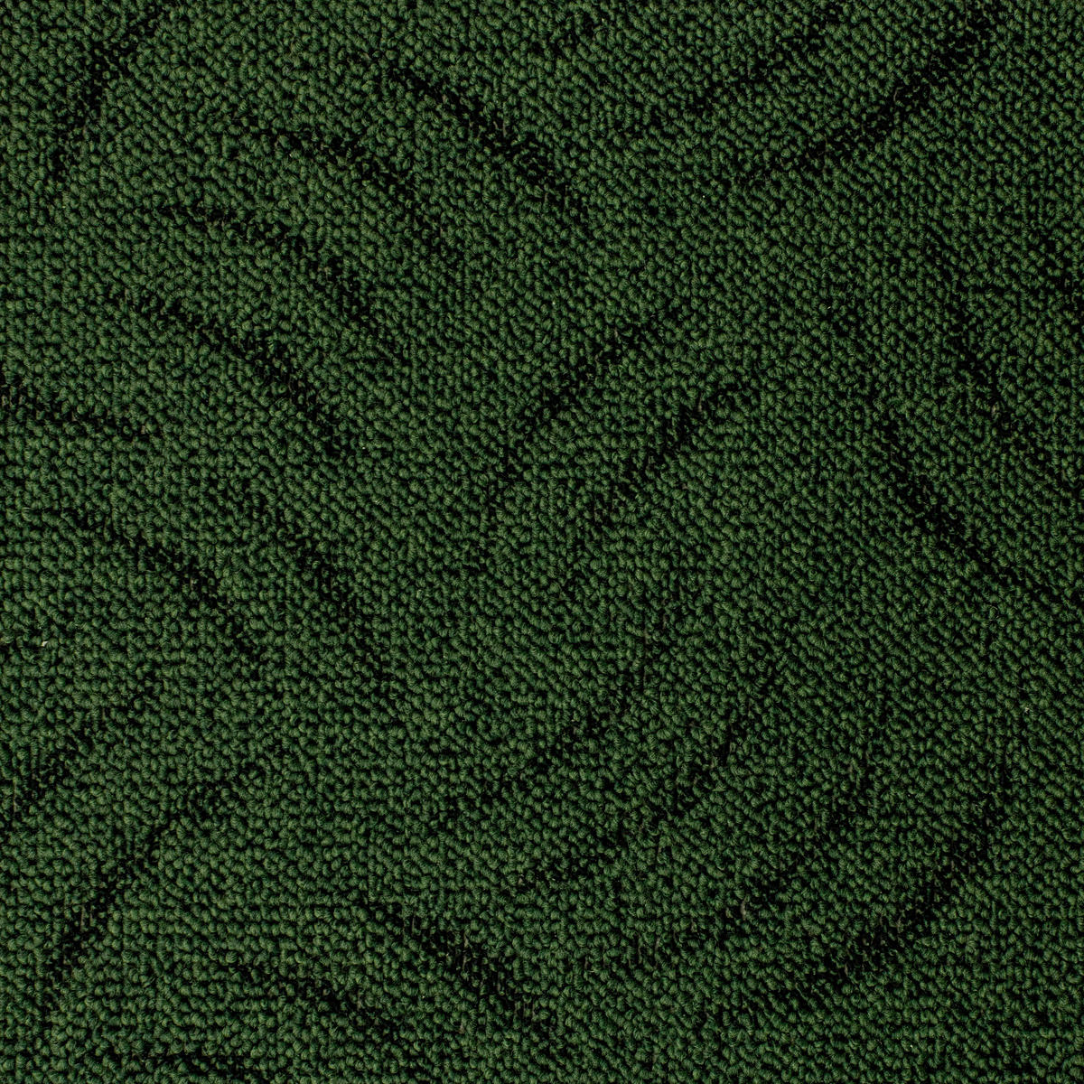 Teppichboden Presto grün B: ca. 400 cm pro m² Presto - grün (400,00cm)