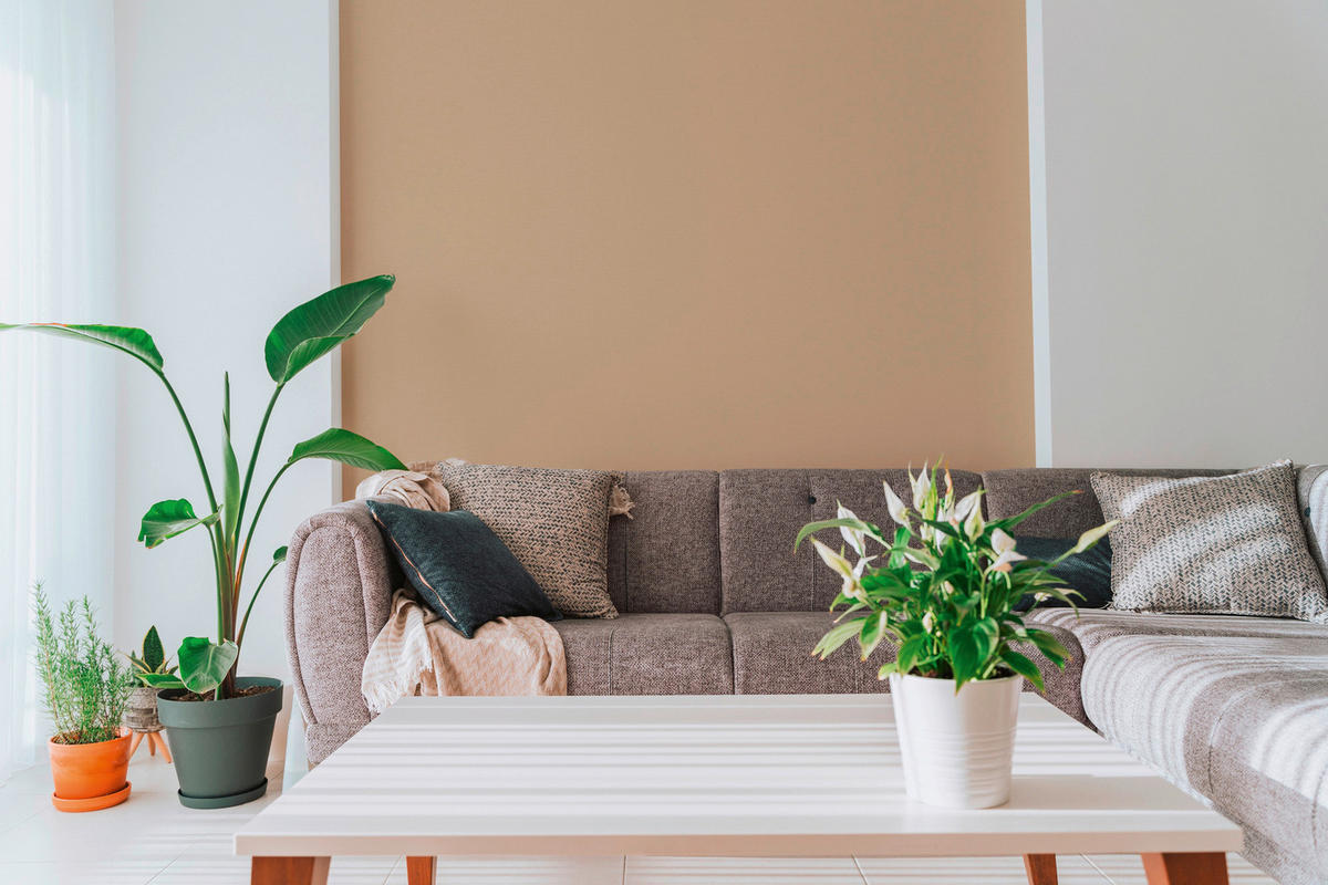 A.S.Creation Vliestapete beige B/H/D: ca. 53x1005x8,3 cm Vliestapete - beige (8,30/1005,00cm) - A.S.Creation