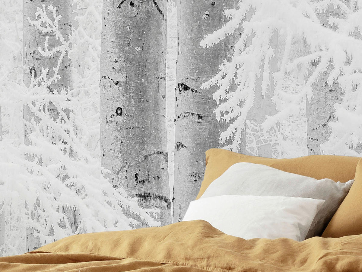 Komar Fototapete Winter Wood B/L: ca. 400x280 cm Winter Wood - (400,00/280,00cm) - Komar