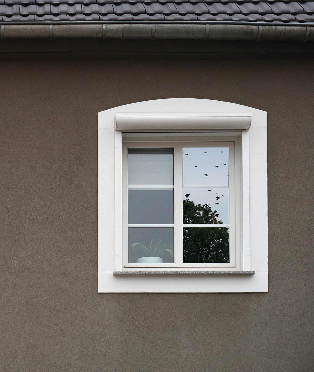 d-c-fix Fensterfolie Spiegel-und Sichtschutz transparent B/L: ca. 67,5x150 cm Fensterfolie_d-c-fix_F3398050 - transparent (67,50/150,00cm) - d-c-fix