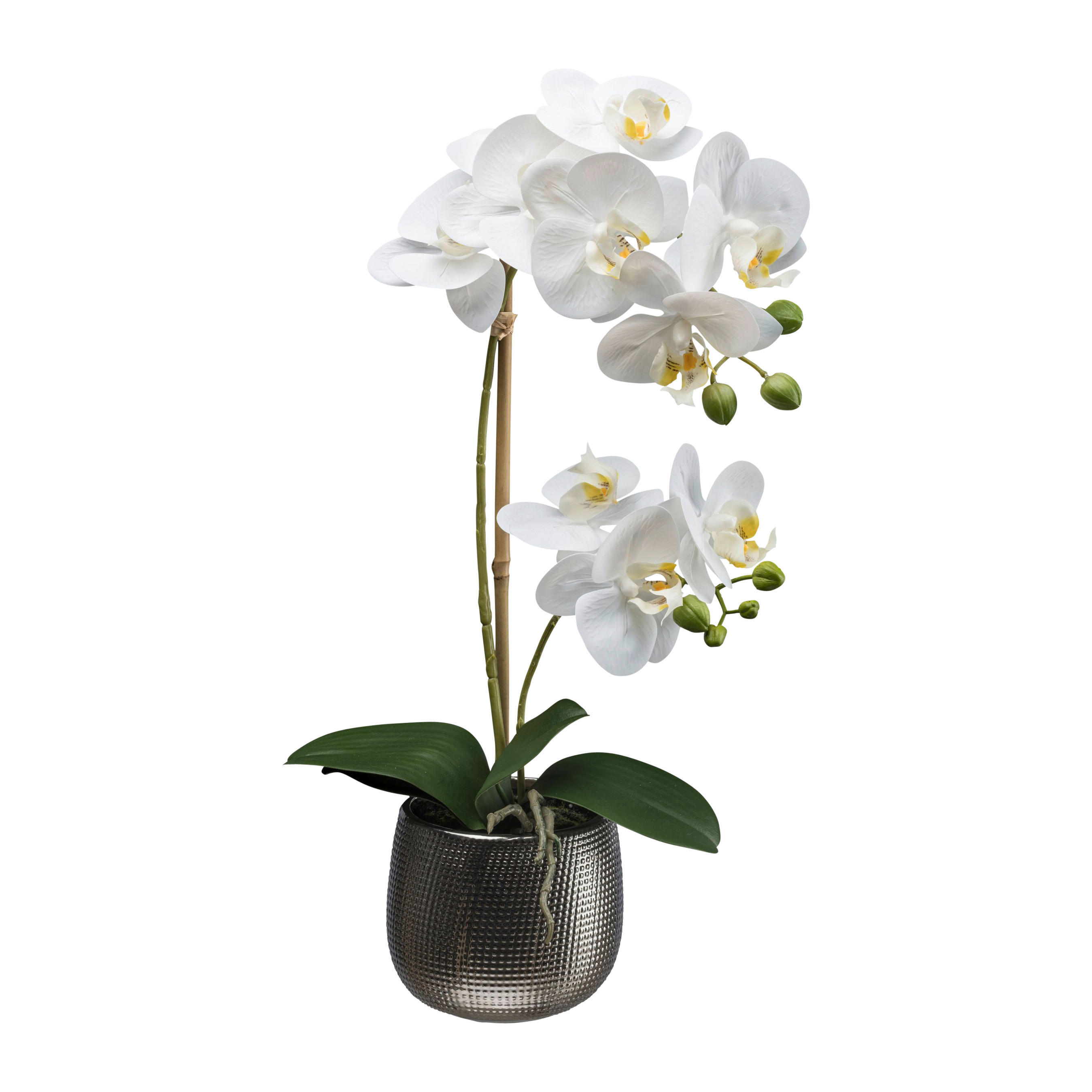 Kunstpflanze Phalaenopsis weiß Kunststoff B/H/L: ca. 16x42x17 cm günstig online kaufen