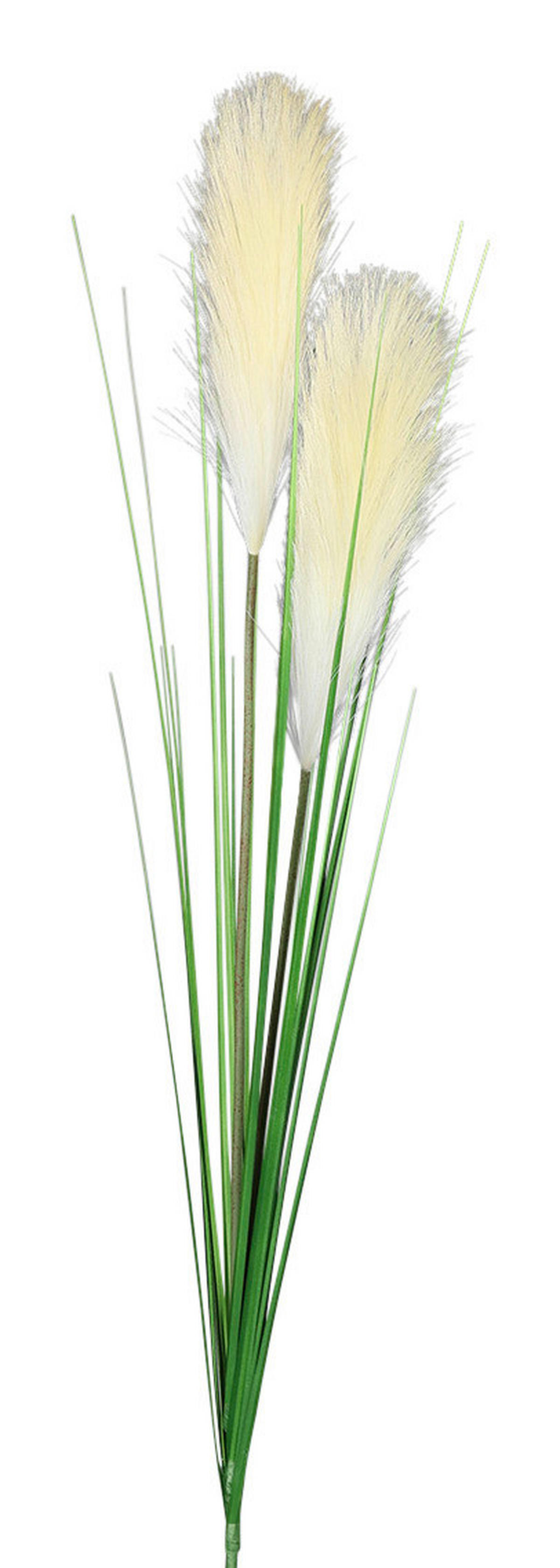 Deko-Pflanze creme Kunststoff B/H/L: ca. 5x107x5 cm Pampas-Graswedel - creme/grün (5,00/5,00/107,00cm)