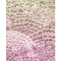 Komar Fototapete Pale Feathers B/L: ca. 200x250 cm Pale Feathers - (200,00/250,00cm) - Komar