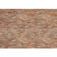 Fototapete Steinmauer B/L: ca. 368x254 cm Fototapete_Backstein - (368,00/254,00cm)