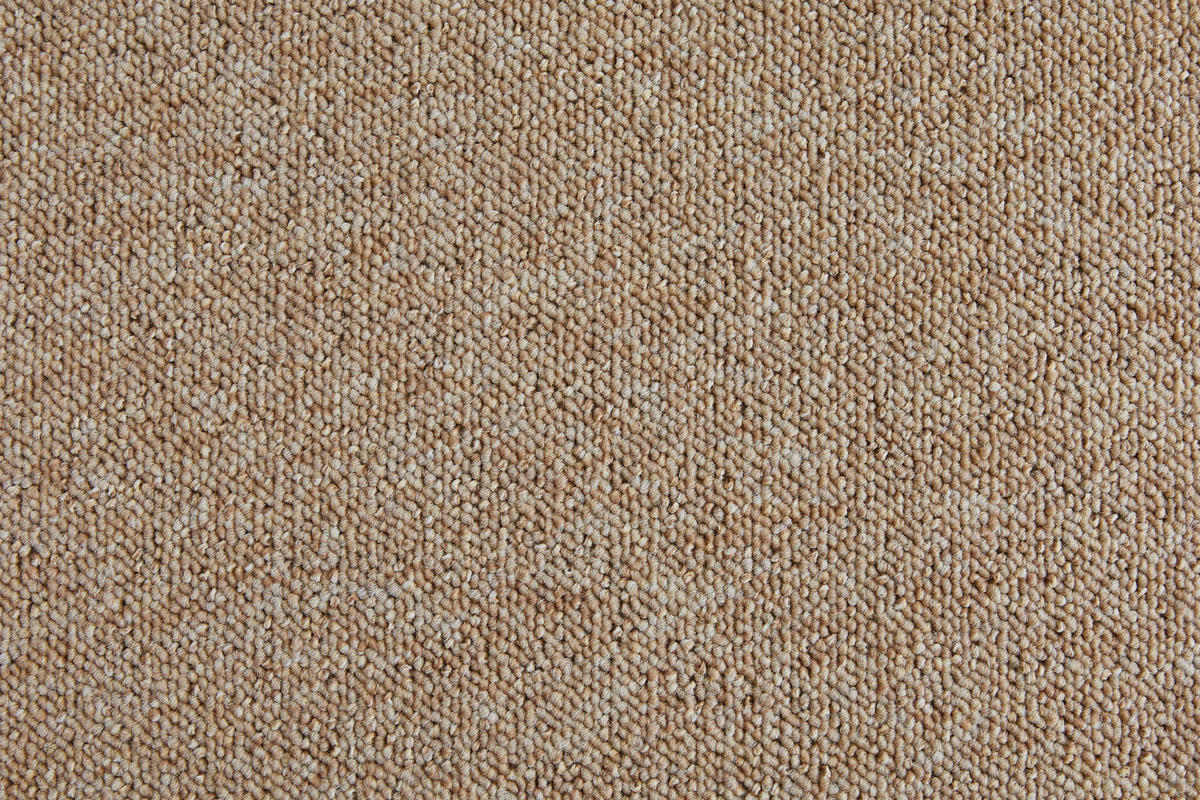 Teppichboden Rico beige B/L: ca. 200x500 cm pro Stück Rico - beige (200,00/500,00cm)