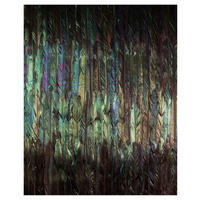 Komar Fototapete Dark Wings B/L: ca. 200x250 cm Dark Wings - (200,00/250,00cm) - Komar