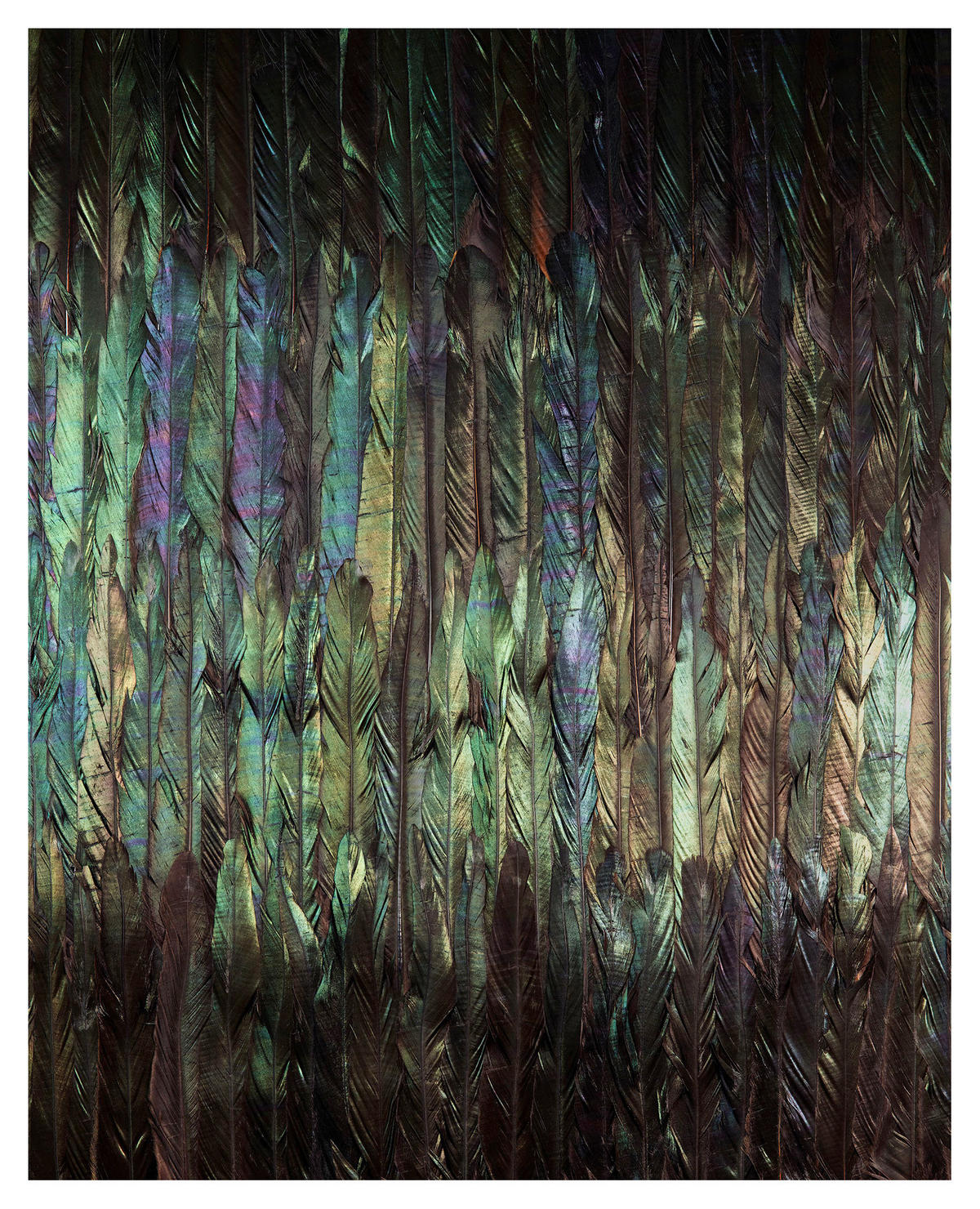 Komar Fototapete Dark Wings B/L: ca. 200x250 cm Dark Wings - (200,00/250,00cm) - Komar