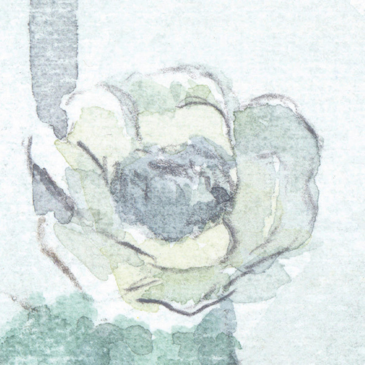 Komar Fototapete Silva B/L: ca. 350x250 cm Silva - (350,00/250,00cm) - Komar