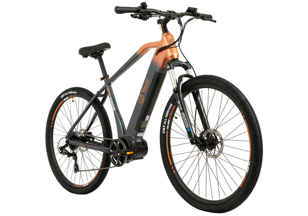 TOTEM E-Bike FJ-M FJ-M 29 Zoll Rahmenhöhe 46 cm 8 Gänge grau grau ca. 250 W ca. 29 Zoll FJ-M - grau - TOTEM