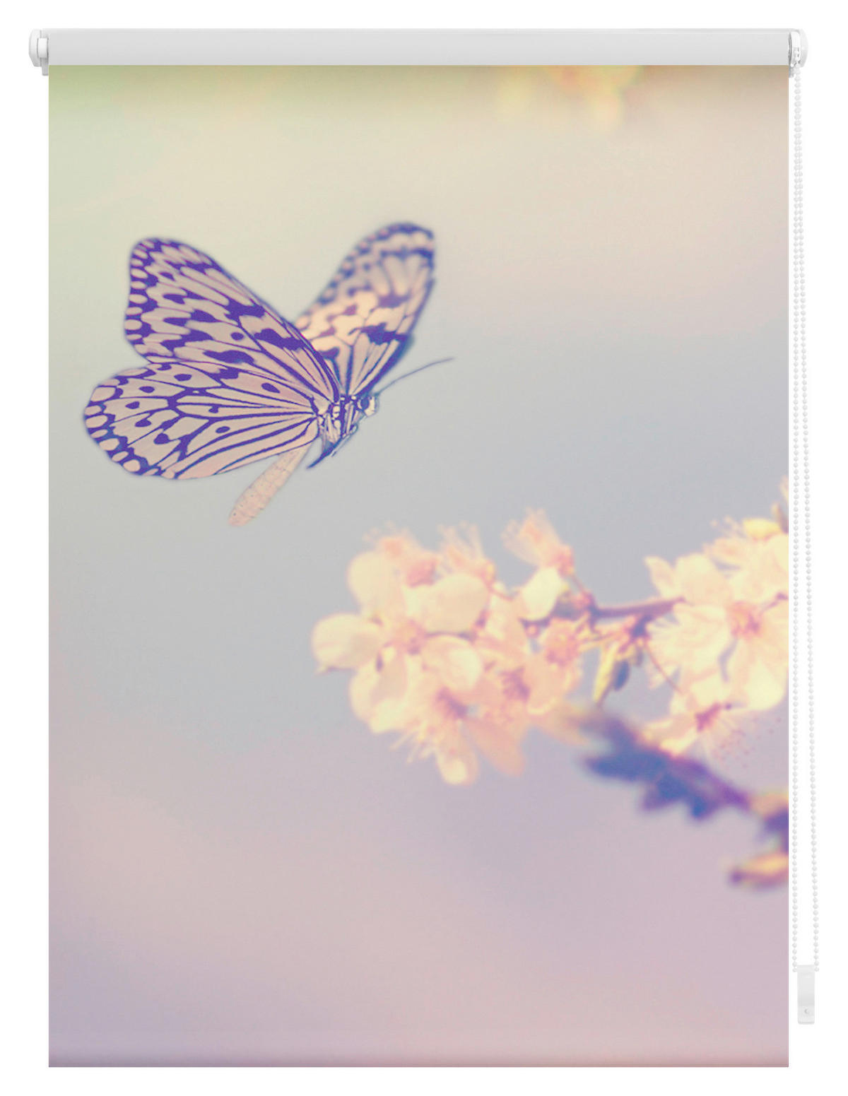 Verdunkelungsrollo Schmetterling rosa B/L: ca. 60x150 cm Schmetterling - rosa (60,00/150,00cm) - LICHTBLICK