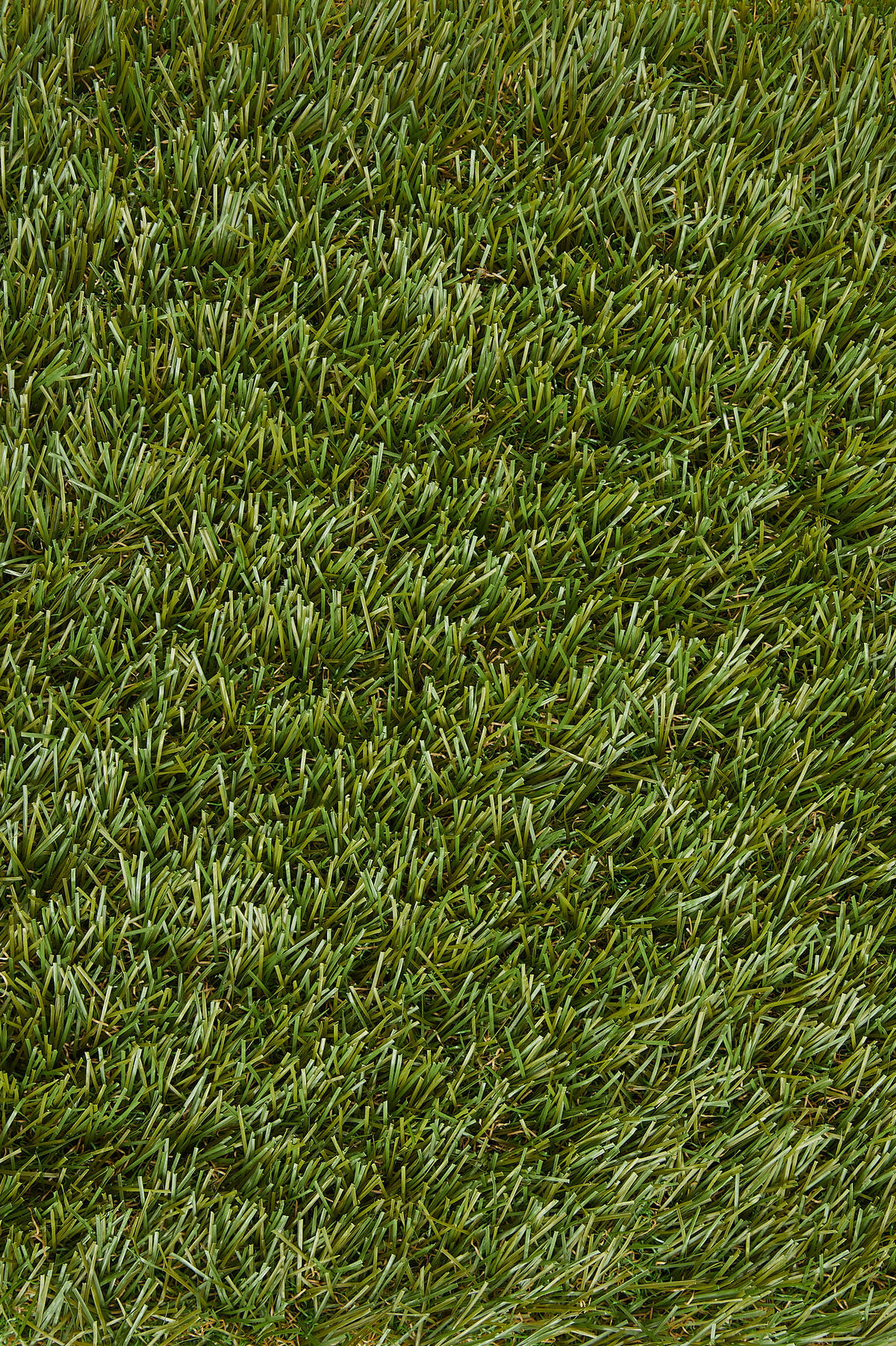 Kunstrasen Newcastle grün B: ca. 400 cm pro m² Newcastle - grün (400,00/3,80cm)