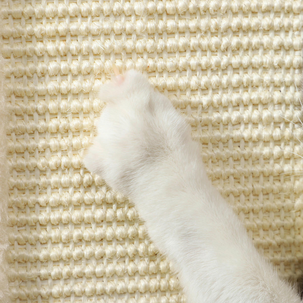 PawHut Kratzstamm Eiche Sisal B/H/L: ca. 34x67x34 cm Kratzstamm - Eiche (34,00/34,00/67,00cm) - PawHut