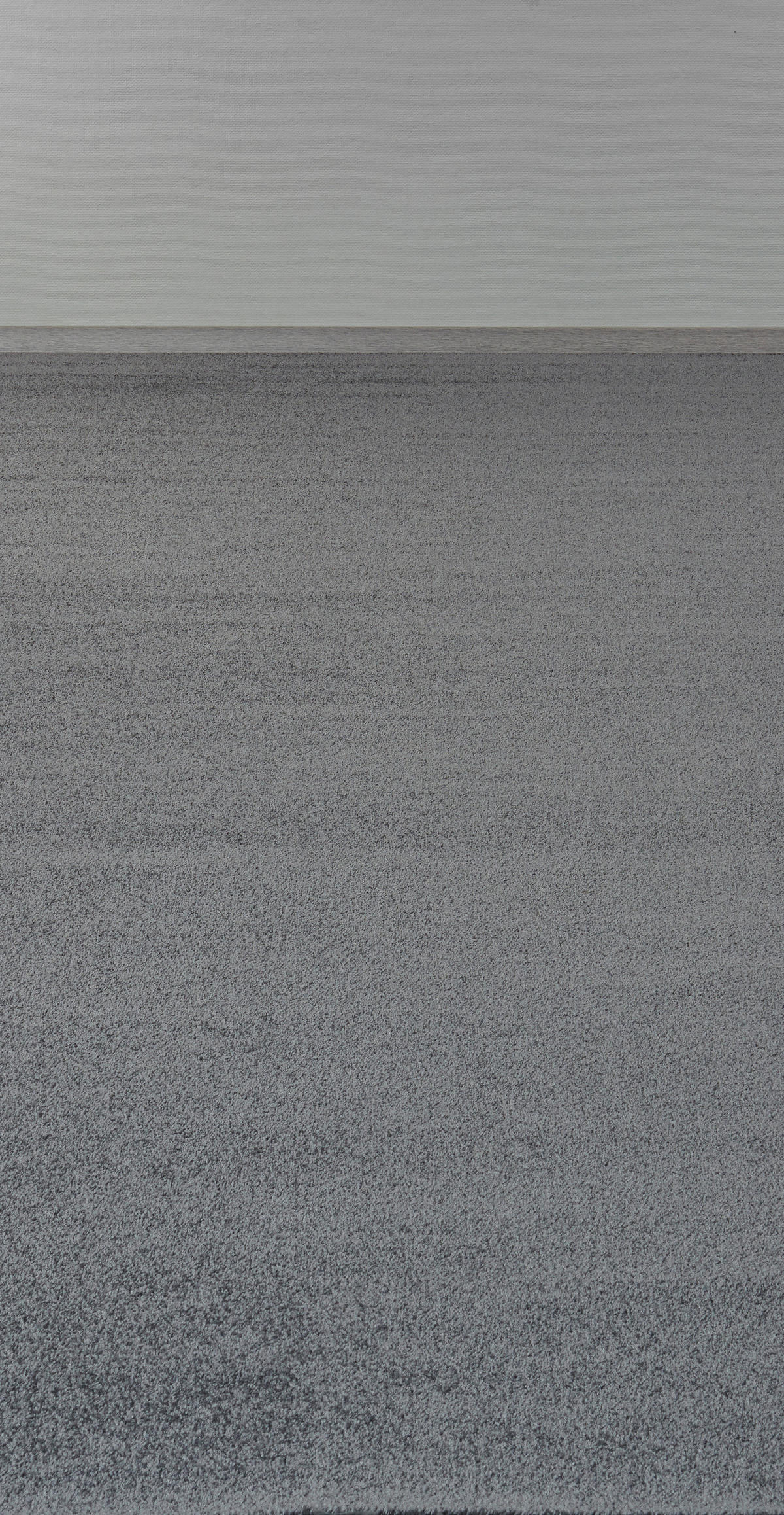 Teppichboden Lazio grau B: ca. 400 cm pro m² Lazio - grau (400,00cm)