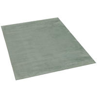 Teppich Loft grün B/L: ca. 160x220 cm Loft - grün (160,00/220,00cm)