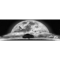 The Wall Wandbild Mondschein B/L: ca. 53x155 cm Bild_Deko_Panel - (53,00/155,00cm) - The Wall