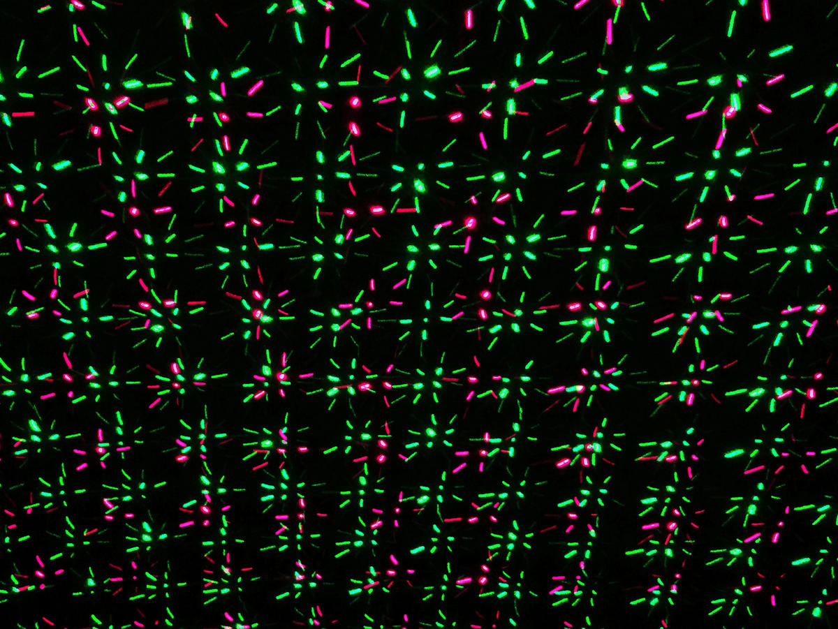 LED-Laser Erdspieß mit LED 5200861 H/D: ca. 40x10 cm LED Laser Erdspieß mit LED - (10,00/40,00cm) - Näve Leuchten
