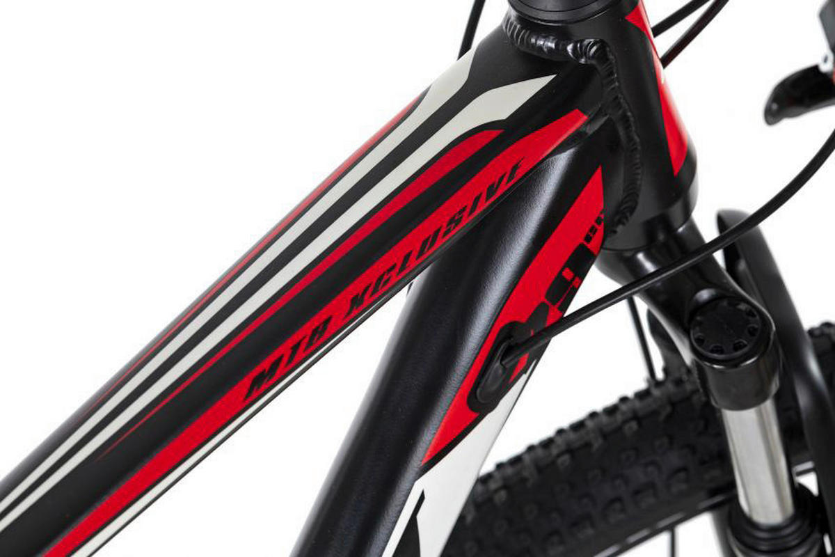 KS-Cycling Mountain-Bike Xplicit 582M  29 Zoll Rahmenhöhe 48 cm 21 Gänge schwarz schwarz ca. 29 Zoll Xplicit - rot/schwarz - KS-Cycling