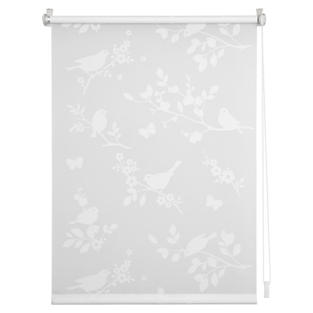 Thumbnail - LICHTBLICK Rollo Pflanze weiß B/L: ca. 90x220 cm